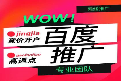 百度竞价托管公司案例分析：如何实现精准投放